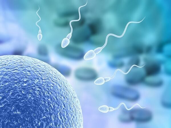 Molecular Diagnostics