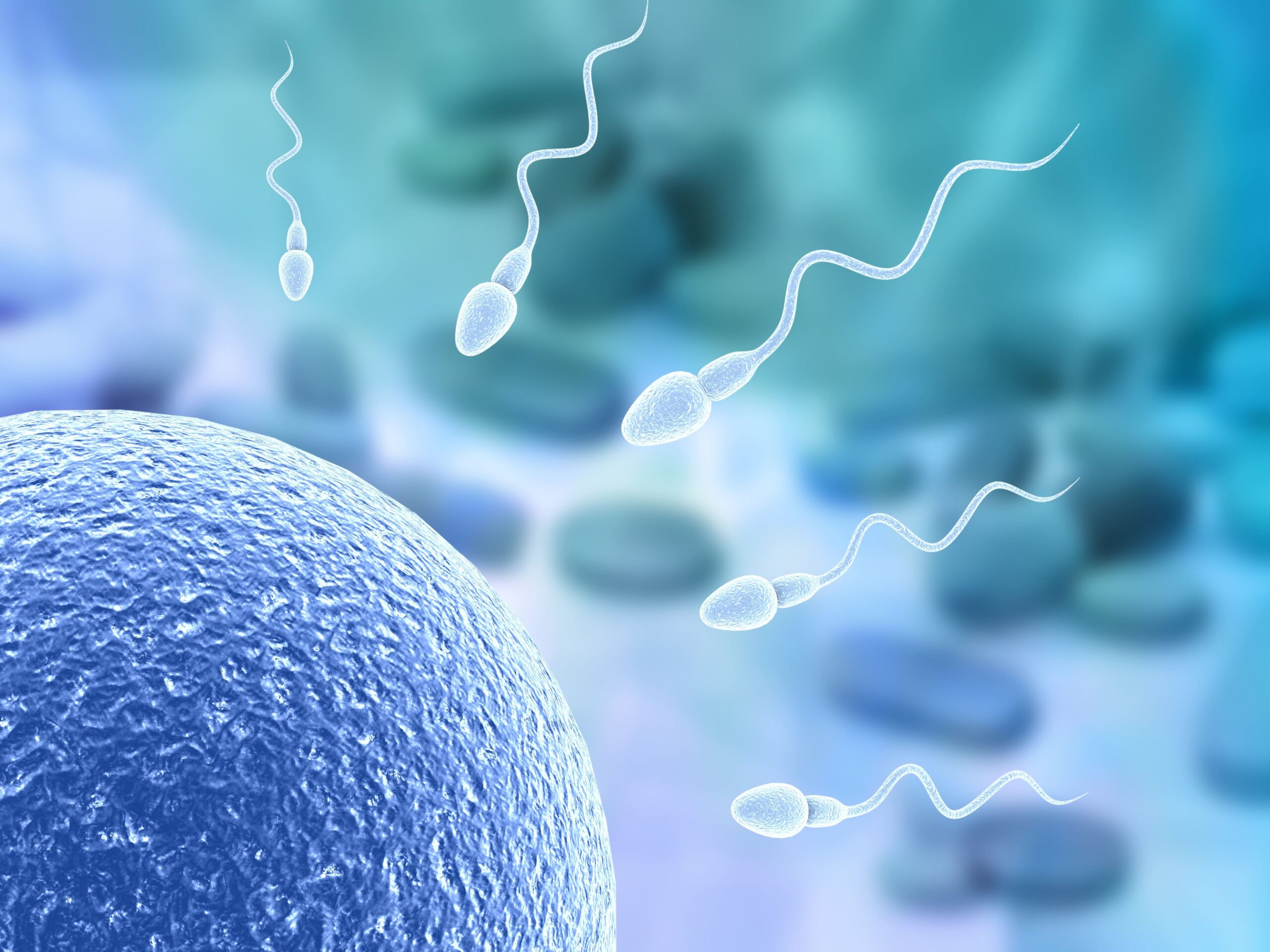 Molecular Diagnostics
