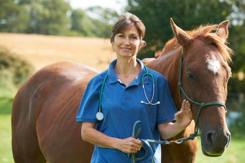 animal science