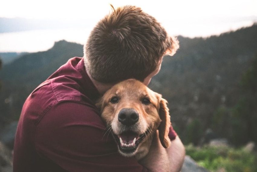 The Rise of Biotech for Pets
